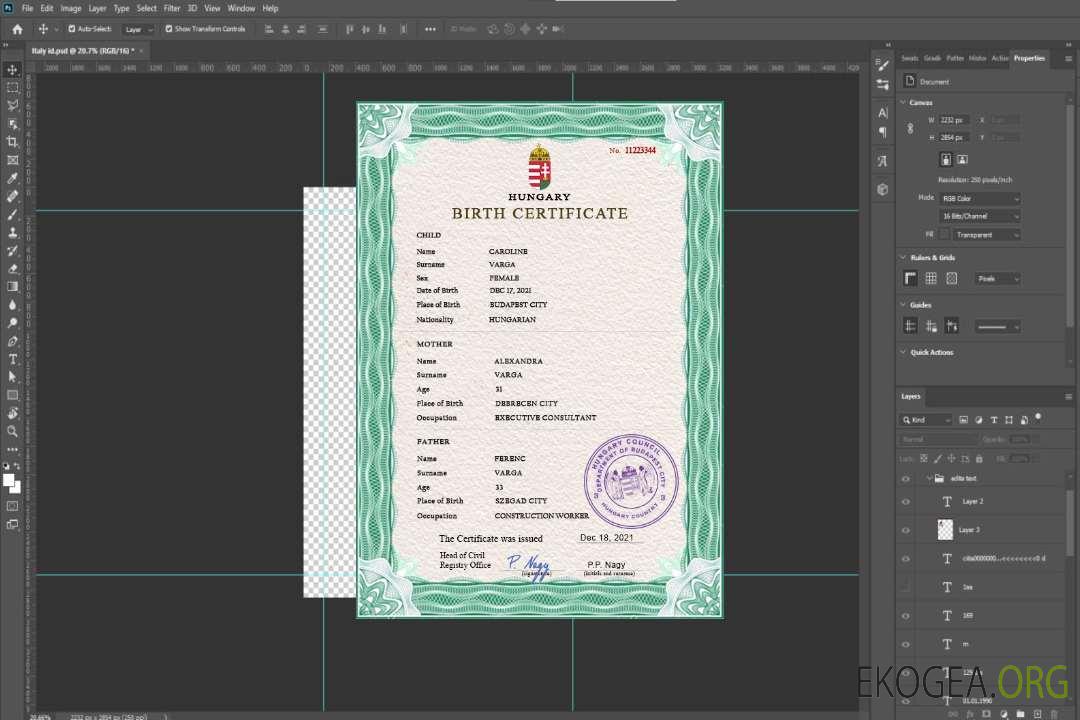 Modèle PSD de certificat de naissance en Hongrie template Modèle PSD de certificat de naissance en Hongrie template